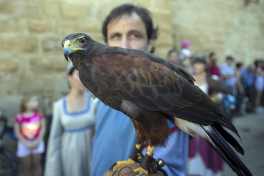 Todas las fotos del inicio de las fiestas medievales de Olite