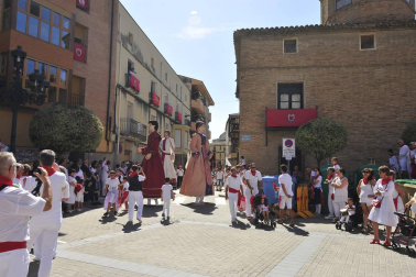 Todas las fotos de la procesión de la Virgen de fiesats de Falces 2019