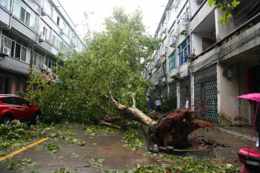 Imágenes del paso del tifón 'Lekima' por la provincia china de Zhejiang (este).