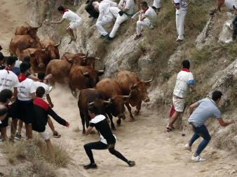 Todas las fotos del encierro del día 11 de agosto de del Pilón de Falces, una carrera que duró dos minutos y 15 segundos.