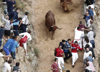 Todas las fotos del encierro del día 11 de agosto de del Pilón de Falces, una carrera que duró dos minutos y 15 segundos.