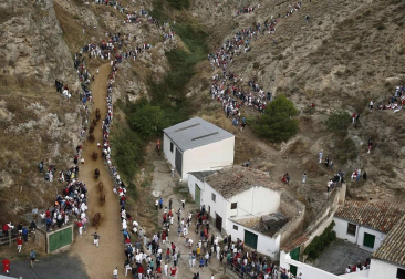 Todas las fotos del encierro del día 11 de agosto de del Pilón de Falces, una carrera que duró dos minutos y 15 segundos.