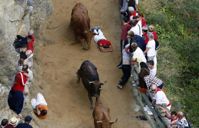 Todas las fotos del encierro del día 11 de agosto de del Pilón de Falces, una carrera que duró dos minutos y 15 segundos.