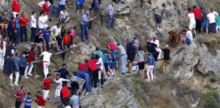 Todas las fotos del encierro del día 11 de agosto de del Pilón de Falces, una carrera que duró dos minutos y 15 segundos.
