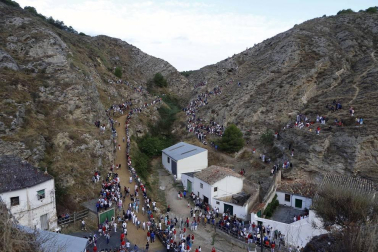 Todas las fotos del encierro del día 11 de agosto de del Pilón de Falces, una carrera que duró dos minutos y 15 segundos.