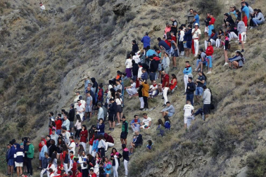 Todas las fotos del encierro del día 11 de agosto de del Pilón de Falces, una carrera que duró dos minutos y 15 segundos.