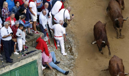 Todas las fotos del encierro del día 11 de agosto de del Pilón de Falces, una carrera que duró dos minutos y 15 segundos.