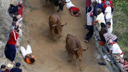 Todas las fotos del encierro del día 11 de agosto de del Pilón de Falces, una carrera que duró dos minutos y 15 segundos.