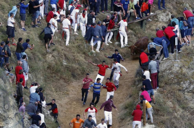 Todas las fotos del encierro del día 11 de agosto de del Pilón de Falces, una carrera que duró dos minutos y 15 segundos.