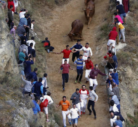 Todas las fotos del encierro del día 11 de agosto de del Pilón de Falces, una carrera que duró dos minutos y 15 segundos.