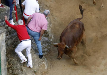 Todas las fotos del encierro del día 11 de agosto de del Pilón de Falces, una carrera que duró dos minutos y 15 segundos.
