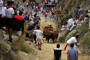 Todas las fotos del encierro del día 11 de agosto de del Pilón de Falces, una carrera que duró dos minutos y 15 segundos.