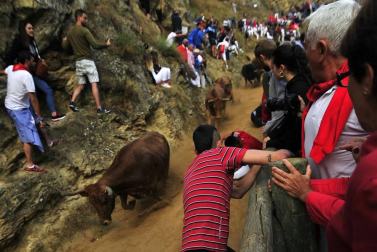 Todas las fotos del encierro del día 11 de agosto de del Pilón de Falces, una carrera que duró dos minutos y 15 segundos.