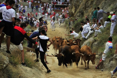 Todas las fotos del encierro del día 11 de agosto de del Pilón de Falces, una carrera que duró dos minutos y 15 segundos.