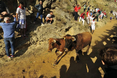 Este lunes Falces ha acogido el segundo encierro del Pilón de las fiestas de este 2019.