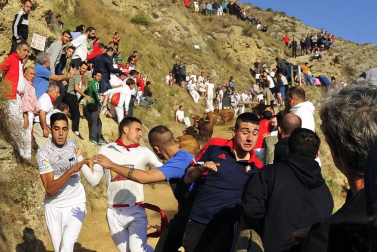 Este lunes Falces ha acogido el segundo encierro del Pilón de las fiestas de este 2019.