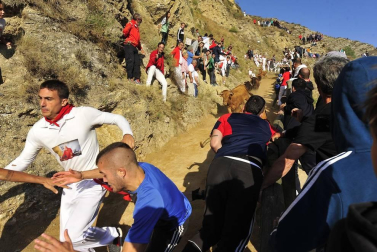 Este lunes Falces ha acogido el segundo encierro del Pilón de las fiestas de este 2019.