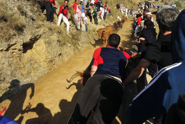 Este lunes Falces ha acogido el segundo encierro del Pilón de las fiestas de este 2019.