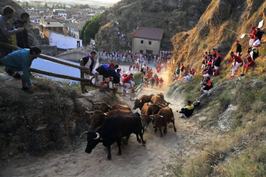Este lunes Falces ha acogido el segundo encierro del Pilón de las fiestas de este 2019.