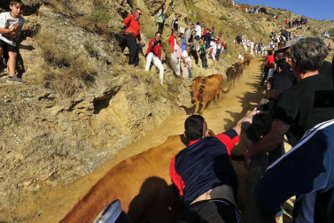 Este lunes Falces ha acogido el segundo encierro del Pilón de las fiestas de este 2019.
