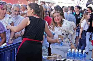 Todas las fotos del cohete de las fiestas de Burlada 2019 en Diario de Navarra