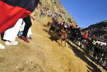 Todas las fotos del encierro del día 14 de agosto de del Pilón de Falces.