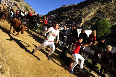 Todas las fotos del encierro del día 14 de agosto de del Pilón de Falces.