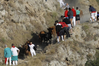 Todas las fotos del encierro del día 14 de agosto de del Pilón de Falces.