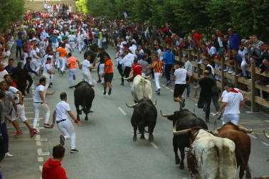 Todas las fotos del segundo día de siestas de Tafalla. 15 de agosto 2019