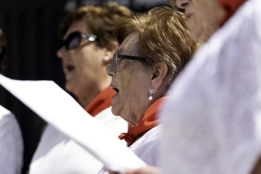 Todas las fotos del segundo día de fiestas de Lerín, el 15 de agosto de 2019