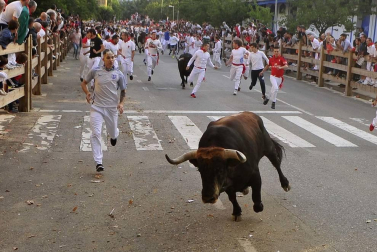 Todas las fotos del segundo día de siestas de Tafalla. 15 de agosto 2019