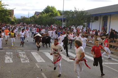 Todas las fotos del segundo día de siestas de Tafalla. 15 de agosto 2019