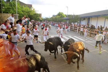 Todas las fotos del segundo día de siestas de Tafalla. 15 de agosto 2019
