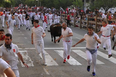 Todas las fotos del segundo día de siestas de Tafalla. 15 de agosto 2019