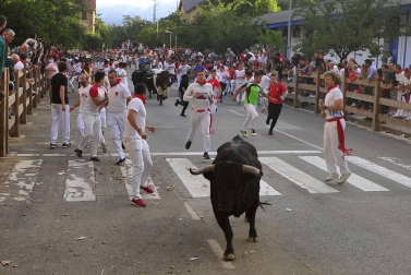 Todas las fotos del segundo día de siestas de Tafalla. 15 de agosto 2019