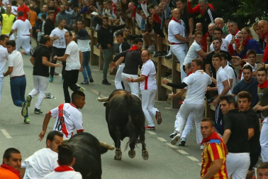Todas las fotos del segundo día de siestas de Tafalla. 15 de agosto 2019