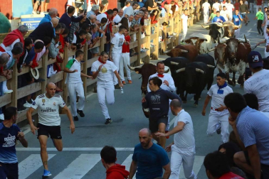 Todas las fotos del segundo día de siestas de Tafalla. 15 de agosto 2019
