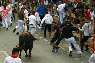 Todas las fotos del segundo día de siestas de Tafalla. 15 de agosto 2019