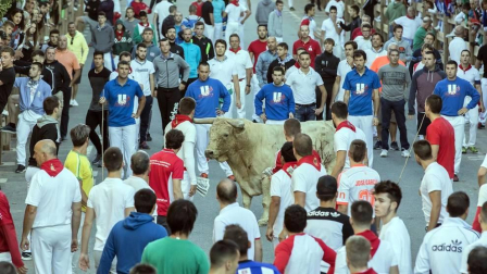 Todas las fotos de las fiestas de Tafalla 2019