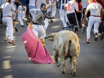 Todas las fotos de las fiestas de Tafalla 2019