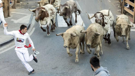 Todas las fotos de las fiestas de Tafalla 2019