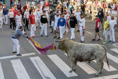 Todas las fotos de las fiestas de Tafalla 2019