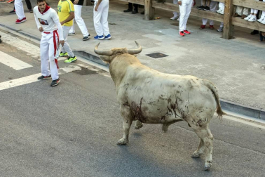 Todas las fotos de las fiestas de Tafalla 2019