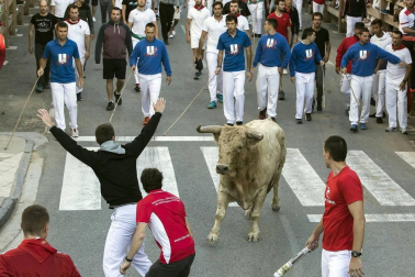 Todas las fotos de las fiestas de Tafalla 2019