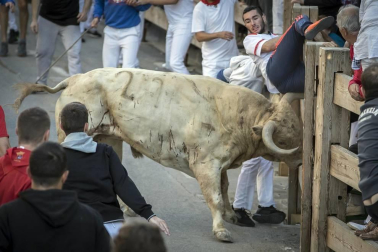 Todas las fotos de las fiestas de Tafalla 2019