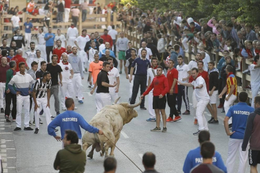 Todas las fotos de las fiestas de Tafalla 2019