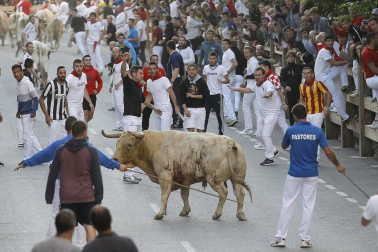 Todas las fotos de las fiestas de Tafalla 2019
