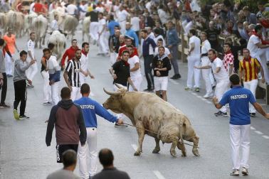 Todas las fotos de las fiestas de Tafalla 2019