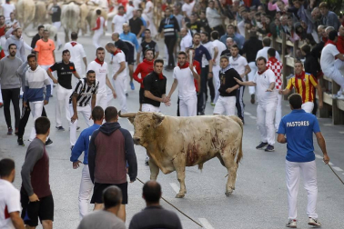 Todas las fotos de las fiestas de Tafalla 2019
