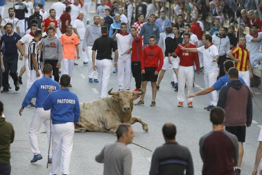 Todas las fotos de las fiestas de Tafalla 2019